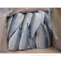 New Season Frozen Pacific Mackerel Fish Fillets